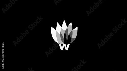 Abstract white and grey overlapping leaf petal design with modern letter W on a sleek black background