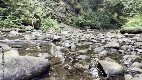 Wild forest shallow creek hidden among the nature, scattered stones overgrown with moss, high hills with greenery and fresh forest air, place of tranquil and relax