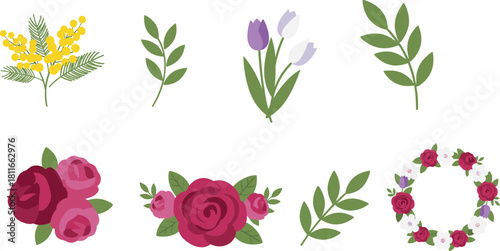 Collection of elegant floral elements and botanical illustrations