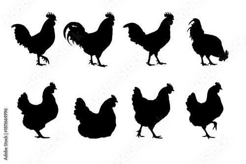 Rooster and hen silhouettes set, farm poultry collection