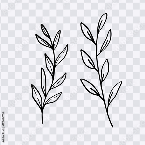 Leaves line art nature hand drawn collection vector illustration