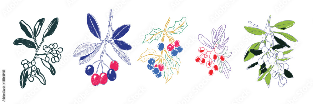Obraz premium Hand drawn set of festive mistletoe and holly branch sketches in various colors on white background
