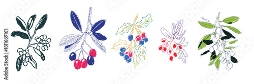 Hand drawn set of festive mistletoe and holly branch sketches in various colors on white background