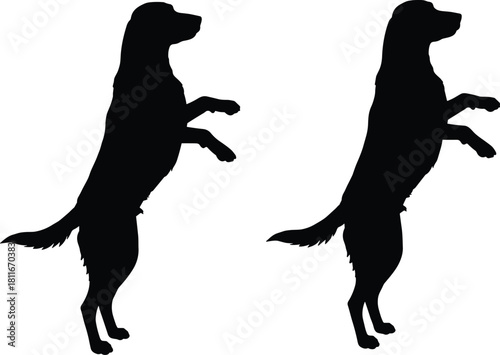 Silhouettes of two standing dogs on hind legs, playful canine posture, obedience training, loyal pet behavior, animal vector illustration