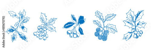 Hand drawn set of festive holly branch sketches