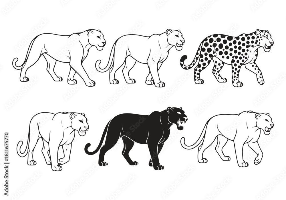 Naklejka premium Set of leopard and panther animal line art icons