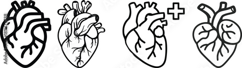 Anatomical heart icon set.Human anatomy internal organ set with brain lung intestine heart kidney liver and stomatch.Healthy Cardiovascular Organ Symbol Collection on White Background and red.