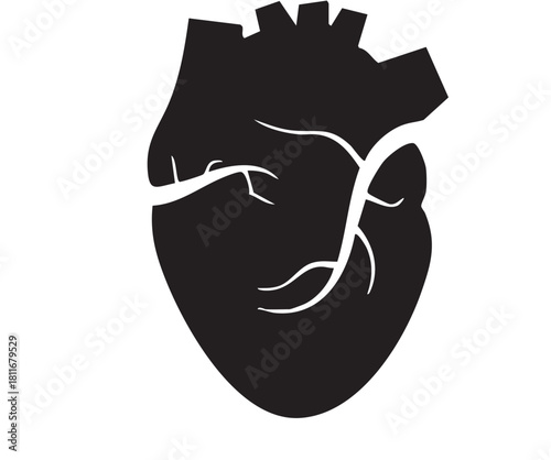 Human Anatomy Heart Silhouette Illustration