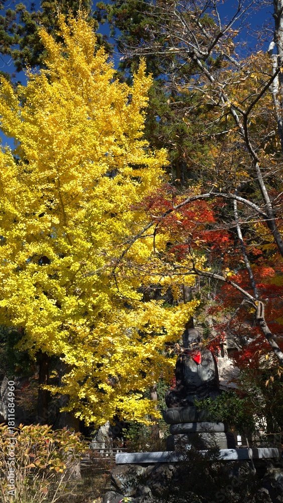 Naklejka premium 秋の彩りのある風景