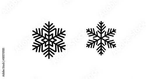 Two detailed black snowflake illustrations against a stark white background