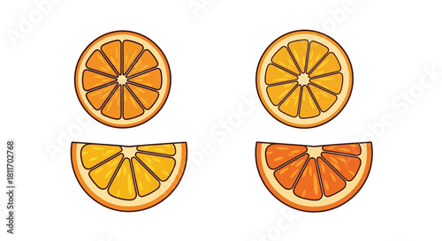 Fresh orange slices and segments displayed in a simple colorful illustration
