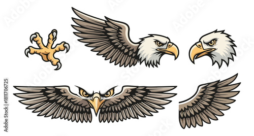Eagle elements isolated vector illustration of a majestic bird of prey