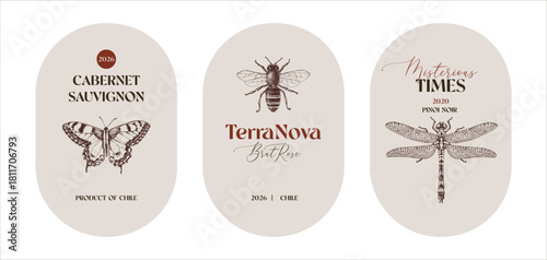 Wine labels with hand drawn insect illustrations
