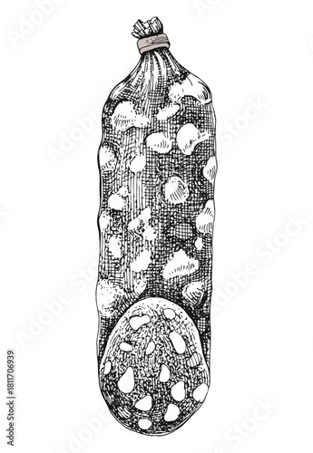 Salami sausage hand drawn vector