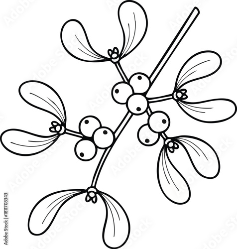 Black and white outline drawing of a mistletoe sprig with berries and leaves, ready for coloring.