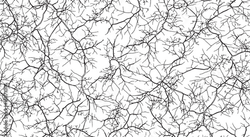 Black and White Abstract Cracked Ice Vector Pattern Geometric Shattered Glass Texture: Line Art Background Mosaic Style Fragments for Coloring and Design