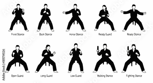 Martial Arts Stances - Front, Back, Horse, Heavy Guard, Ready, Open, Long, Low, Walking, Fighting.