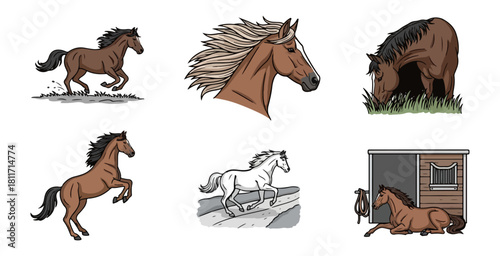 Set of horse illustrations depicting various actions and poses