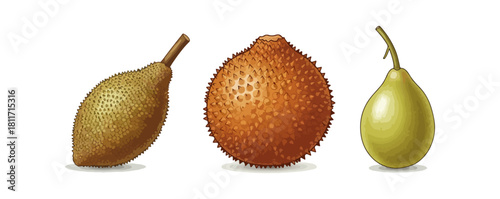 Three tropical fruits isolated on black background