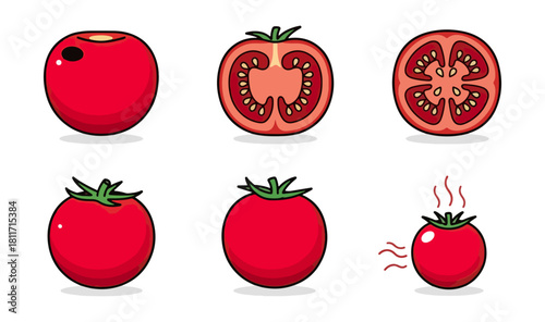 Tomato illustration set showing various stages and sections