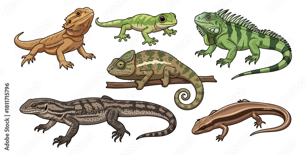 Naklejka premium Various reptiles illustration on black backdrop