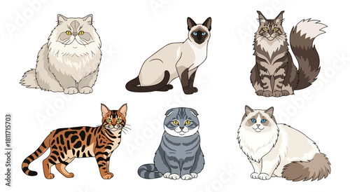 Various domestic cat breeds in vector illustration