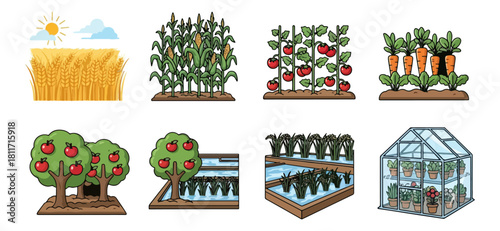 Vegetable garden illustration with crops and greenhouse isolated on white