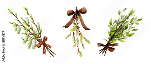 Delicate watercolor bouquet of willow with earrings decorated with a bow. Spring willow branches tied with a ribbon. Festive natural elements for Spring, Easter. Vector illustration.