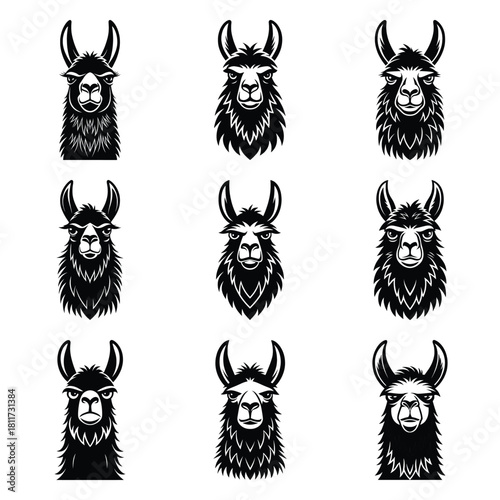 Set of vector black grumpy llama silhouette icon. Isolated black animal shape design element.