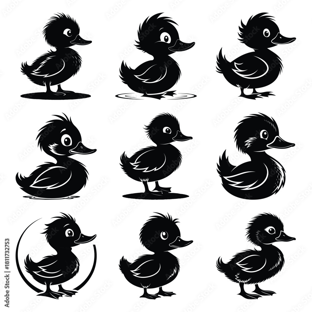 Fototapeta premium Set of vector black silly duckling silhouette icon. Isolated black animal shape design element.
