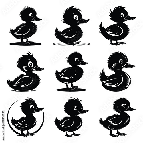 Set of vector black silly duckling silhouette icon. Isolated black animal shape design element.