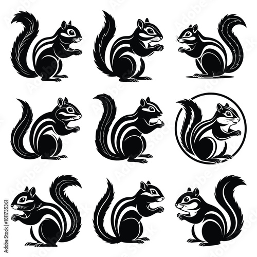 Set of vector black cheeky chipmunk silhouette icon. Isolated black animal shape design element.