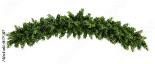 Christmas garland pine branch isolated on white background	
