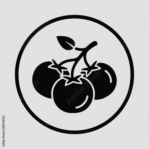 Illustrator tomatoes on branch fresh organic food Silhouette vector