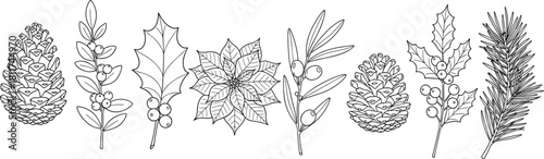Hand drawn Christmas botanical vector set, winter floral elements, pine cone, holly, mistletoe, poinsettia, black line art, sketch collection for holiday decoration.