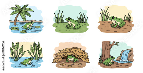 Frog illustrations depicting various natural habitats and activities