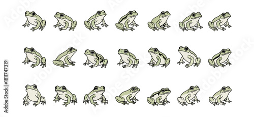 Frogs illustration isolated on black background decorative design