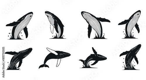 Collection of eight humpback whale silhouettes breaching and swimming in water splash various shapes detailed