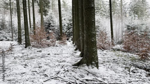 Zeitlupe einer Szenerie im Wald in der Winterzeit in HDR