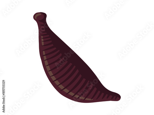 Leech Worm Clip Art Illustration