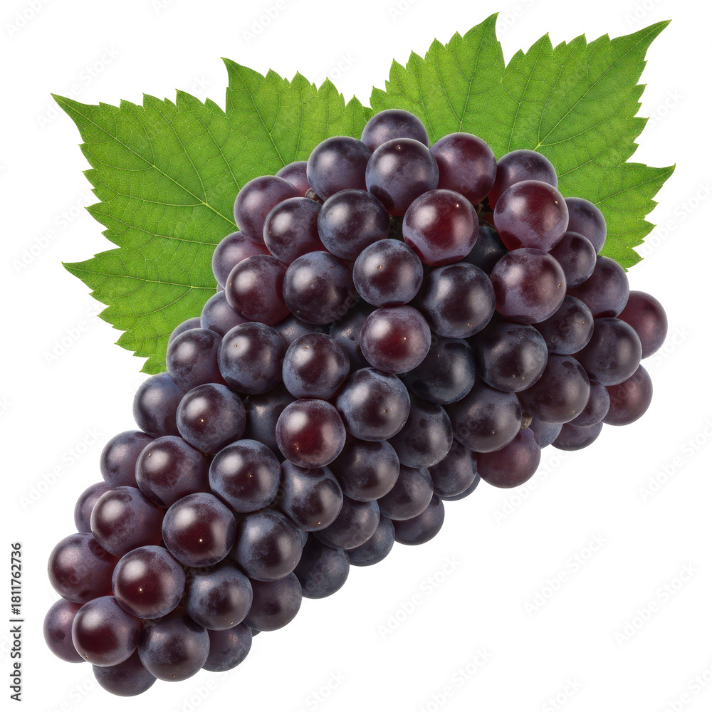 Fototapeta premium Fresh bunch of dark purple grapes with green leaves