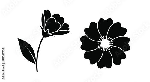 Black and white illustration of two delicate flowers with simple petal designs