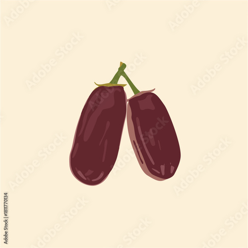 Illustration of two dark purple eggplants with green stems on a beige background.