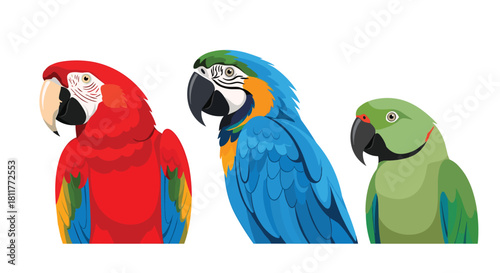 Colorful collection of three exotic parrot heads including a scarlet macaw and blue macaw on a clean white background.