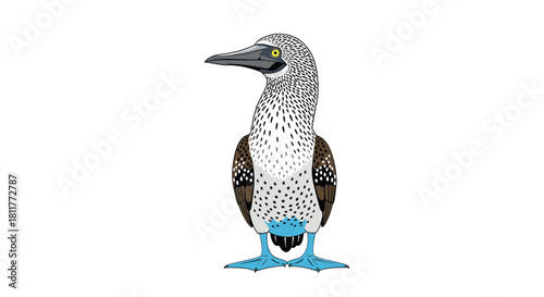 Detailed and realistic illustration of a blue-footed booby a unique seabird from the Galapagos Islands.