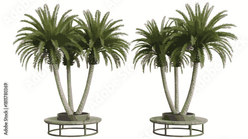 Two Groups of Palm Trees in Circular Planters on a White Background tropical vacation