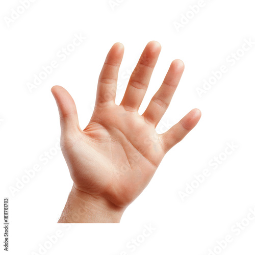 Open hand isolated on Transparent Background