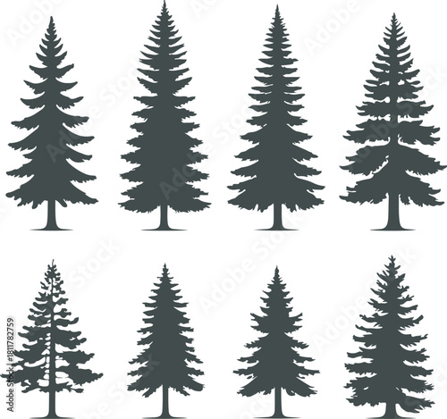 Collection of eight distinct evergreen tree silhouettes, featuring various shapes and densities of pine, spruce, and fir trees, perfect for nature or forestry graphics