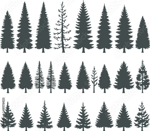 Collection of various dark green silhouette illustrations representing different species and shapes of coniferous evergreen trees, perfect for nature design elements