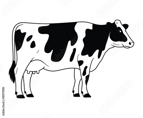 Holstein Dairy Cow Black and White Illustration